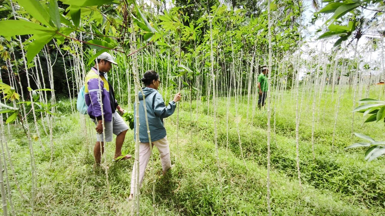 Farm Education & Tours